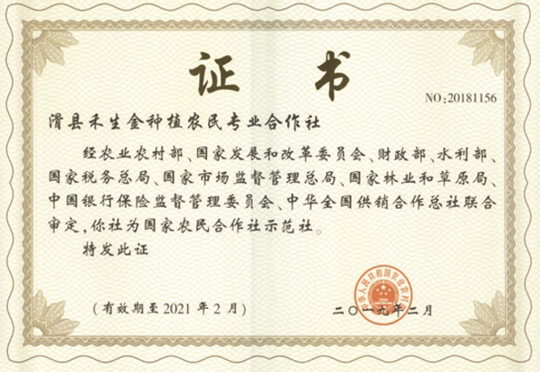 公司荣誉
